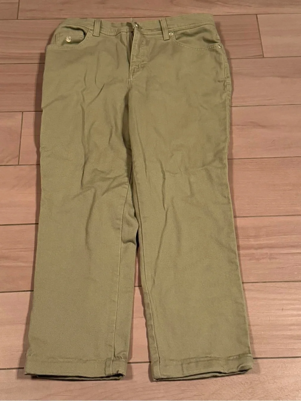 Gloria Vanderbilt Olive Green Straight-Leg Chinos size 12 inseam 24”